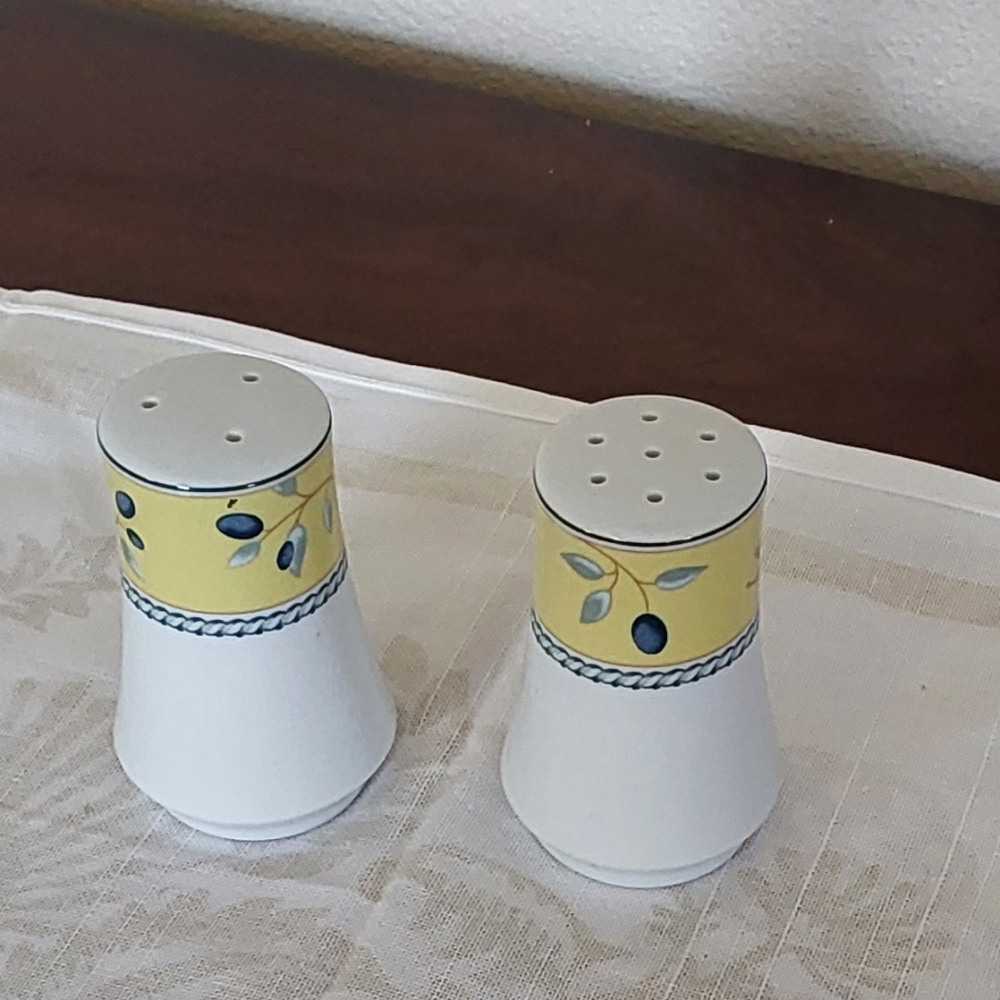 Royal Doulton Blueberry Yellow and White‎ Salt and Pepper Shakers